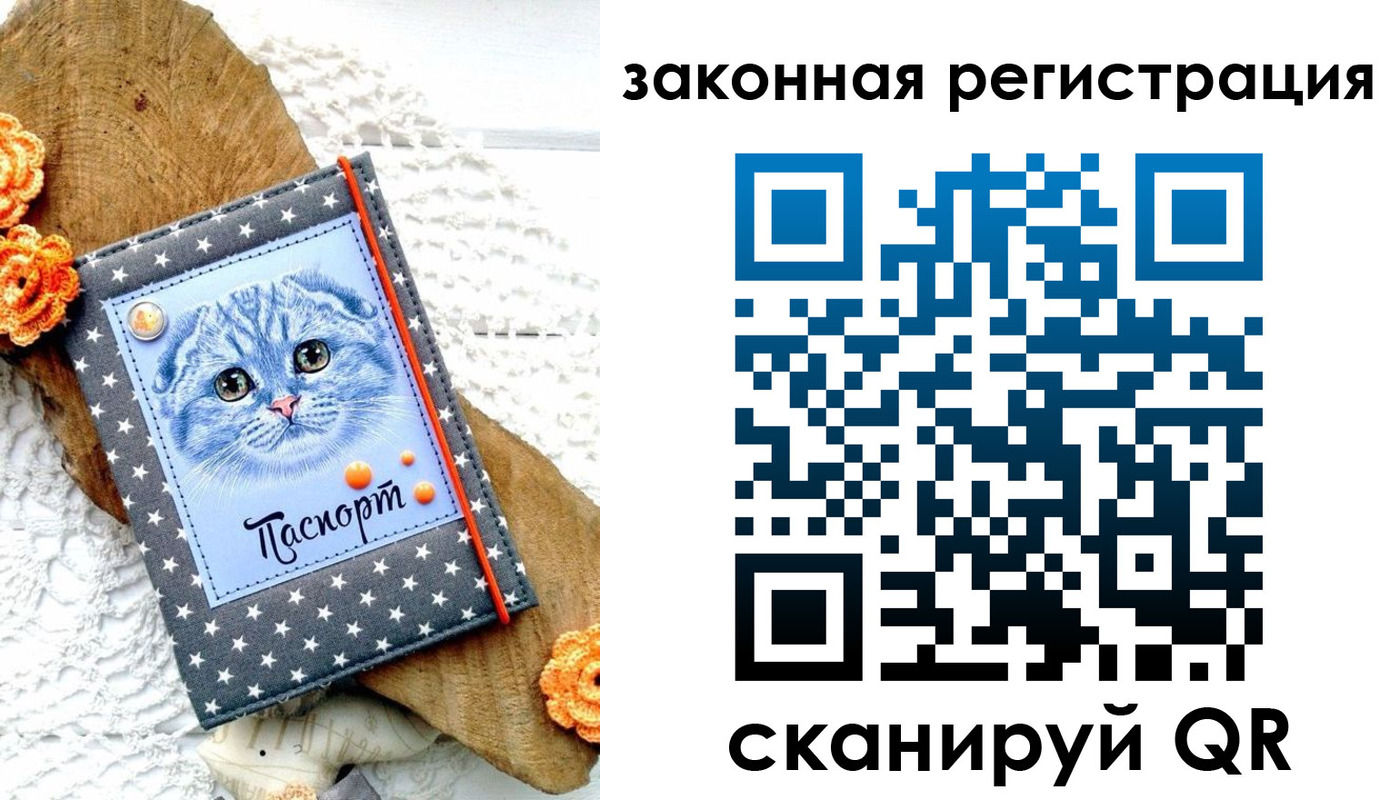 регистрация в Волгоградской области