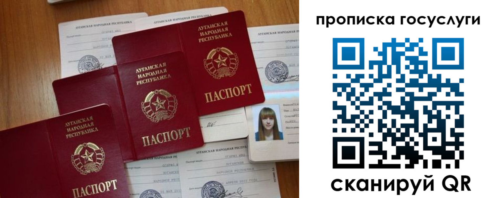 временная регистрация поиск в Волгоградской области